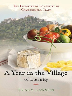 cover image of A Year in the Village of Eternity